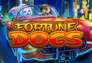 Fortune Dogs